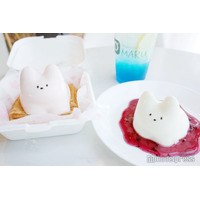 韓国発バズりスイーツ「猫プリン」って?ぷるぷる揺れる“かわいそ可愛い”動きが人気のヒミツ