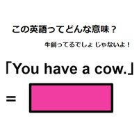 この英語ってどんな意味？「You have a cow. 」