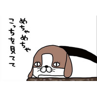 大仕事がひと段落！愛犬に見せたくてたまらない景色とは？【パンダと犬 ＃22】