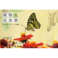 【夏休み2025】京都府立植物園「植物と昆虫展」8/24まで、自由研究にも