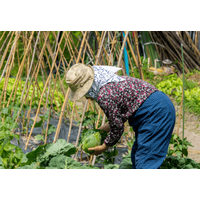 農家をやっている80代の祖父母　孫「こんなに食べれないよ」⇒祖父母から”送られてきた物”に「何歳になっても孫」