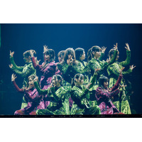 櫻坂46「自業自得」からの期別ダンストラックに反響相次ぐ「鳥肌立った」「違う良さがあって目を奪われた」【5th TOUR 2025】