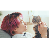 Snow Man佐久間大介、新CMで猫に囲まれ笑顔 愛猫との秘話も「可愛いなと思います」
