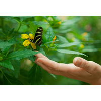 虫が大の苦手な私　洗濯物も外に干せなかったが⇒出産を機に「自分でもびっくり」