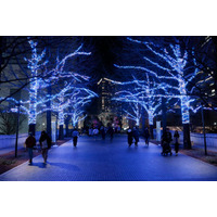 横浜最大級イルミ「ヨコハマミライト2025」街一帯を彩るサスティナブルな光と多彩な連動イベント