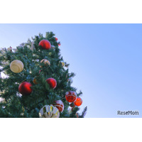 【中学受験】来月行ける中高一貫・女子校「学校見学」12月…白百合、吉祥女子など