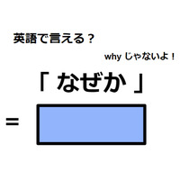 英語で「なぜか」は何て言う？