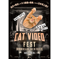 ネコ動画の祭典『CatVideoFest』日本初上映、チケット収益の一部は保護団体へ寄付