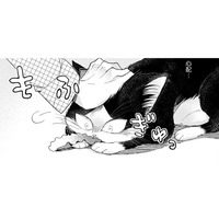 【猫視点】人間がいきなり頭をさわってきた！ みんなこうするのが好きね～【同居人はひざ、時々、頭のうえ。 #32】