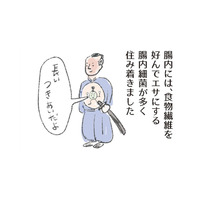 腸内環境を整える！食物繊維たっぷりレシピ「切り干し大根」をつかった簡単サラダ【激せまキッチンで時短！簡単！ムダなしごはん #33】