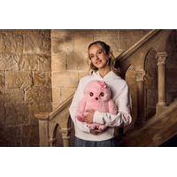 『ハリー・ポッター』シリーズの春限定グッズ登場「ワーナー ブラザース スタジオツアー東京」