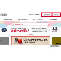 【中学受験の塾選び】日能研の特徴と費用・合格実績（2026年度版）