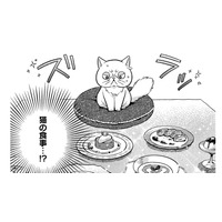 お風呂に入れてもらって体がふわふわ！お腹が空いたと思ったら豪華なごちそうまで！【根暗騎士による溺愛満喫中のブサ猫、実は聖女です！#26】