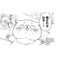 お腹いっぱいで、暖かくて、心も体もふわふわ…聖女だったことなんて忘れてリラックス！【根暗騎士による溺愛満喫中のブサ猫、実は聖女です！#27】