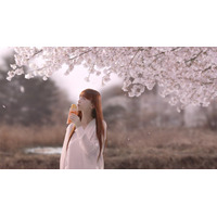 鈴木えみ、マック新CMでケツメイシ名曲「さくら」MVを再現 21年の時を経て母親役に