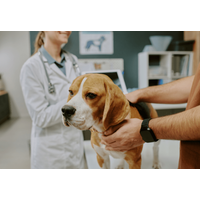 診察台を拒否する愛犬　獣医の“まさかの最終手段”に⇒豹変し「え！」「先生に感謝」