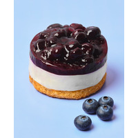 【スタバ日本上陸30周年】春を彩る新作フード5種登場「ブルーベリーレアチーズケーキ」ほか