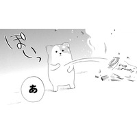 亡き愛犬の首輪が燃えてしまった…だけど、胸につかえていた後悔も、一緒に消えていくようで【きのこいぬ #４】