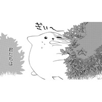 君の存在が、僕を笑顔にする…無邪気な行動の一つひとつがいとおしくて【きのこいぬ #15】