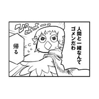 「人間と一緒なんてごめんだわ」雨宿りのため喫茶店を訪れたトリビトのお客さんは、人間が大の苦手！【とりきっさ！ #19】