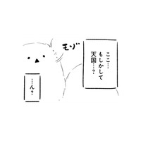 嵐の中、無理をして倒れてしまった僕…目が覚めると、そこは天国だった？【とりきっさ！ #21】