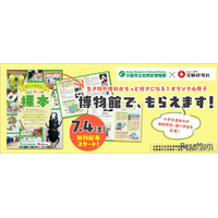 【自由研究2026】植物・貝がら・昆虫の標本づくり冊子を無料配布…大阪市立自然史博物館