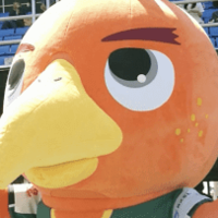 関西リーグ第2節にQolyが直撃！2つの「劇的AT同点劇」をレポ