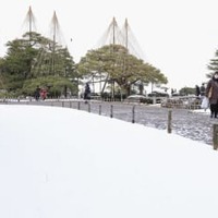 雪が積もった兼六園＝18日午前9時51分、金沢市