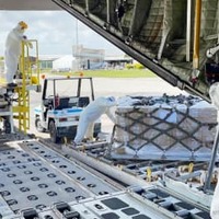 トンガのファアモツ国際空港で、航空自衛隊のC130輸送機から降ろされる支援物資＝29日（防衛省統合幕僚監部提供）