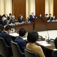 実質討議を行った参院憲法審査会＝23日、国会
