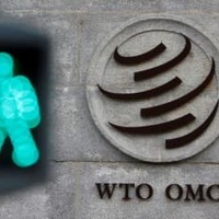 WTO本部＝2020年、ジュネーブ（ロイター＝共同）