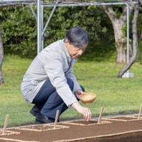 苗代に種もみをまかれる天皇陛下＝19日午後、皇居（宮内庁提供）