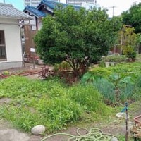 外国にルーツを持つ子供たちの居場所をつくるため改装予定の小屋（左奥）と敷地の畑＝広島市（ラディチェス提供）