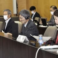 携帯電話の「ローミング」導入に向け、総務省が開いた有識者会議＝28日午前、総務省