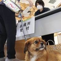 玄海原発の重大事故訓練で初導入された、ペット同伴避難の訓練＝29日午前、佐賀県大町町