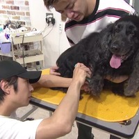 相葉雅紀、岸優太(C)日本テレビ