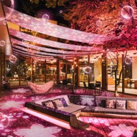 夜桜チルナイト/画像提供:星野リゾート