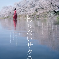 杉咲花主演「朽ちないサクラ」ティザービジュアル（C）2024 映画「朽ちないサクラ」製作委員会