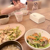 辻希美、夕食は手作り牛丼！息子の食事中SHOT公開「そして狙う犬 笑。」