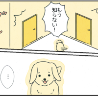 夫婦喧嘩をしてしまった！…→すると、いつも妻にべったりな愛犬がまさかの行動を！？