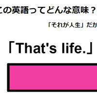 この英語ってどんな意味？「That’s life. 」