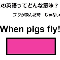 この英語ってどんな意味？「When pigs fly!」