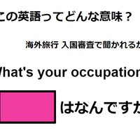 この英語ってどんな意味？「What’s your occupation?」