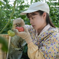 橋本環奈「おむすび」第27話（C）NHK