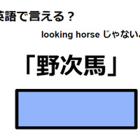 英語で「野次馬」はなんて言う？