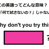 この英語ってどんな意味？「Why don’t you try this?」