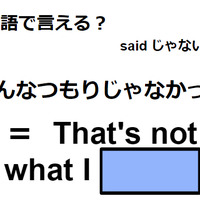 英語で「そんなつもりじゃなかった」はなんて言う？