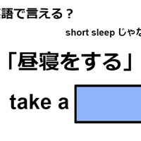 英語で「昼寝をする」はなんて言う？