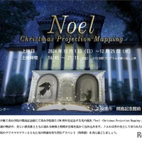 青山学院大学「Noel -Christmas Projection Mapping-」