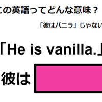 この英語ってどんな意味？「He is vanilla. 」